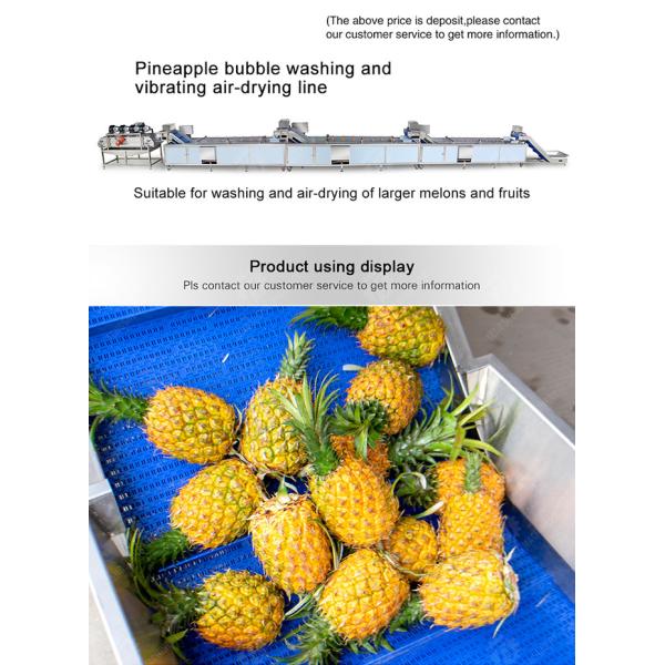 vegetable wash line pineapple juice processing line Pineapple bubble washing and vibrating air-drying line fruit processing machinery pineapple