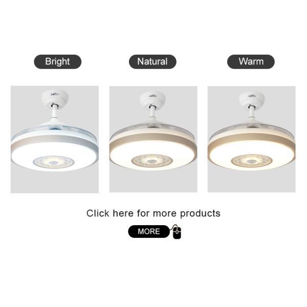 Stylish Metal Indoor Ceiling Fan with Hidden Blades and Cooling Air LED Light Function