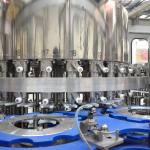 6000BPH 8000BPH Monoblock Liquid Filling Machine Particles Dosing Function