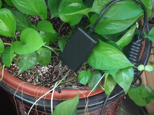 Irrigation Capacitive Soil Moisture Temperature Sensor Waterproof RS485 -30-70C IP68