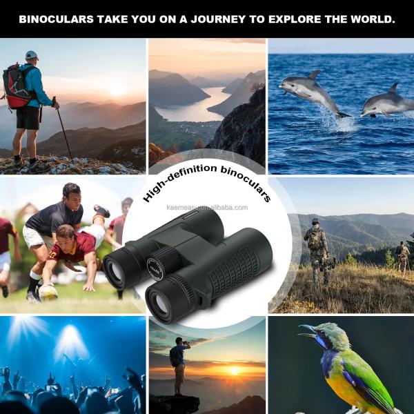 C 10X High Definition Binoculars 10X42 for Adults Optical Telescope for Hunting and Travel