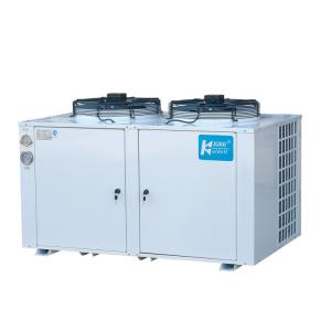 Best Low Temp Cold Storage Refrigeration Units Chiller Fit R22 Refrigerant wholesale