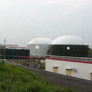 Movable Industrial Anaerobic Digestion Machinery Automatic