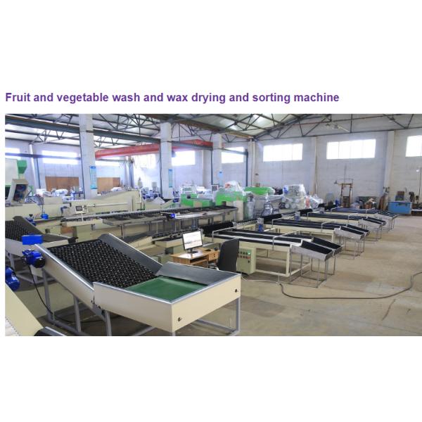 Tomato/Avocado/Orange/Apple Weight Sorting Machine and Weight Grading Machine