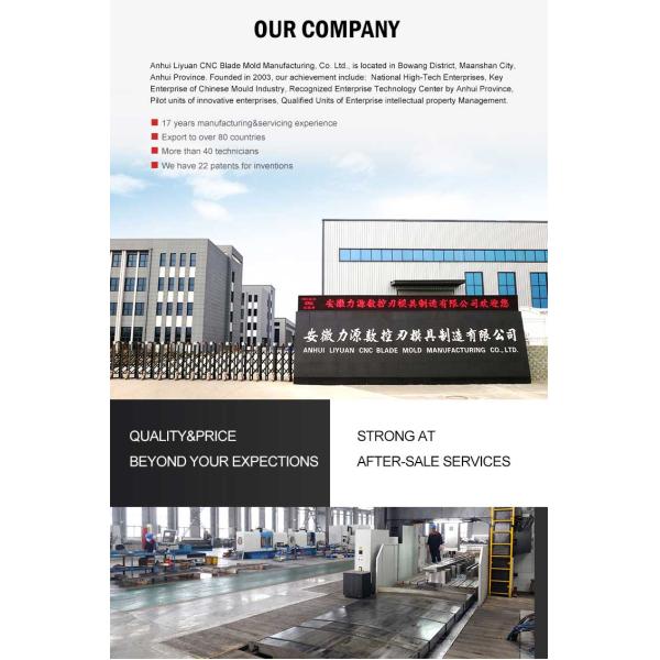 LS10.15 Metallic Punch Press Brake Tooling Bending Dies Mold
