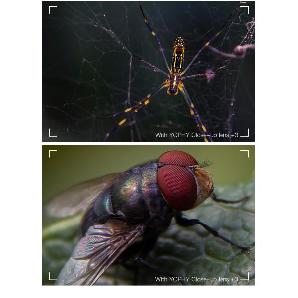 77mm Close-up Lens +3 Produced Using H-K9 H-ZF2 Glass for Stunning Photography of Small Objects