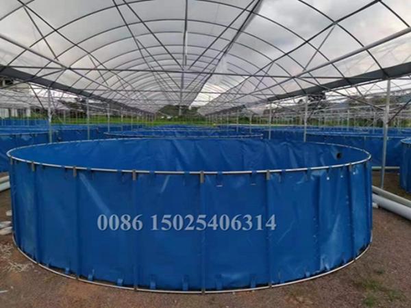Best Quality 2000Liters fish tank for nursery fish farm pisciculture 1000L ~100000 Liter tilapia farming equipment