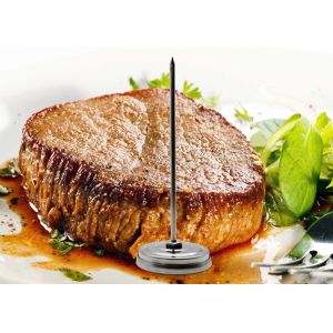 Durable Oven Safe Instant Read Thermometer Meat Cooking Thermometer FDA