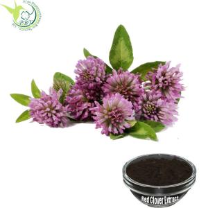 Best Red Clover Natural Botanical Extracts 8%~20% Isoflavones Trifolium Pratense Extract wholesale