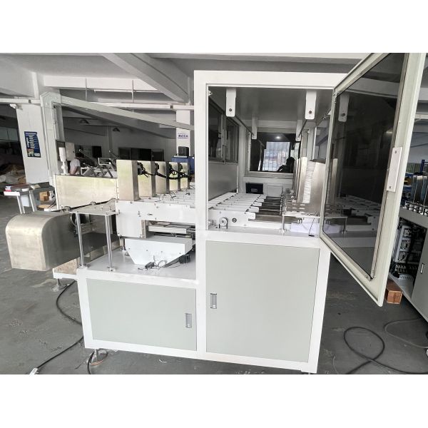 Fully Automatic Carton Box Packaging Machine Vertical Mask Packing Cartoning Machine