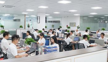 Shenzhen Leesafe Technology Co., Ltd.