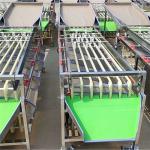 apple grading machine,apple sorting machine,pear grading machine,small potato