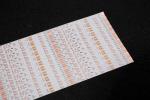 LED with Breakpoint resume function fantasy color version FPCB Light Strip FPC