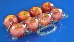 Best Manufactury Disposable plastic fruit packaging punnets Food trade material PET plastic food packaging box wholesale