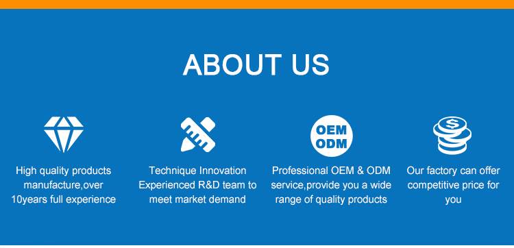 Home Garden 3D Nylofor Fencing , PVC Coated Welded Wire Fence Gate