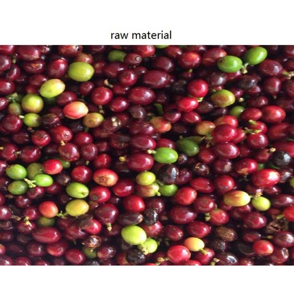 5400 Pixel CCD Image Coffee Color Sorter