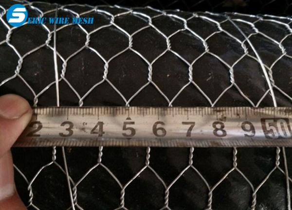 Cheap Hot Dipped Chicken Wire mesh/gabion hexagonal wire mesh/hexagonal wire mesh for sale
