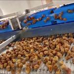 Advanced Computer Control, High-capacity online Dates Sorting machine, Deep