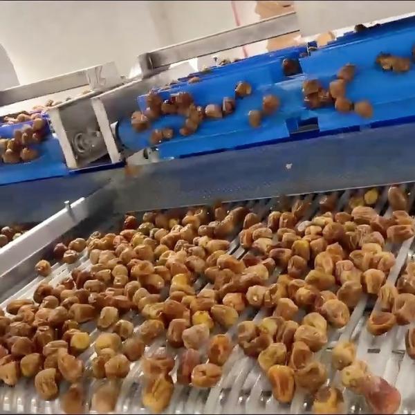 Advanced Computer Control, High-capacity online Dates Sorting machine, Deep