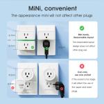 Tuya Smart Socket with Power Monitoring, WiFi and RF433 Plug, Type C Outlet, App