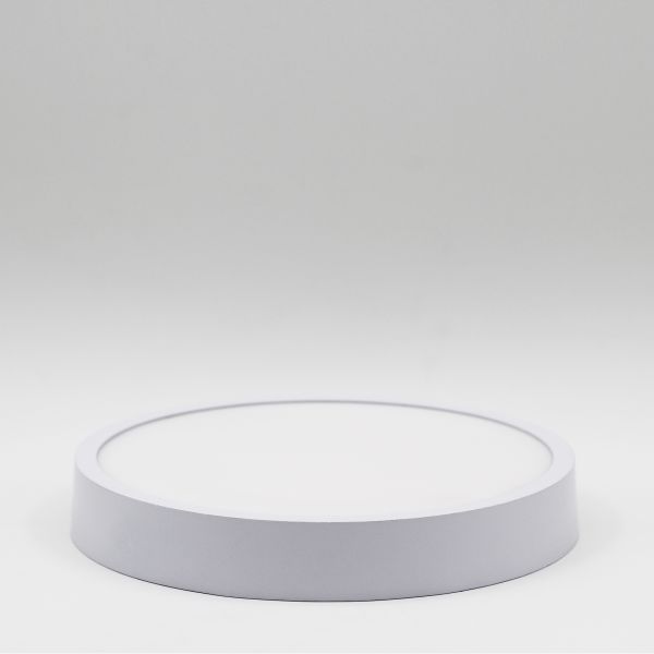 Round Surface Mounted Small LED Panel Light With Simple Appearance