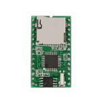 RS232 Communication SD Card Module WT5001M02-28P With SPI Interface
