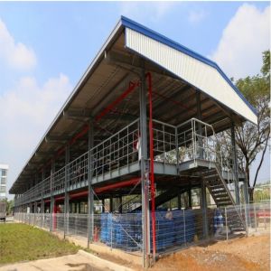 Custom Industrial Steel Frame Buildings Prefabricated Steel Structure Factory