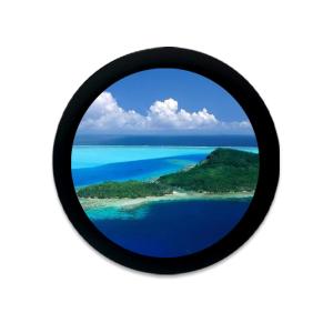 China IPS LCD TFT Display Module With LED Backlight For Professional Applications on sale