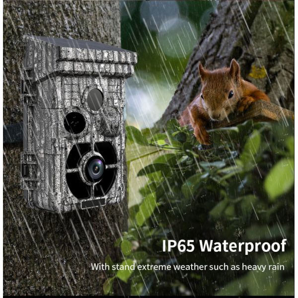16pcs IR LED Hunting Trail Camera 32MP 60 Degree PIR Sending Angle Waterproof 4K / 10fps