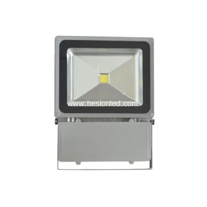 Best 100w High Power LED projecting lamp led flood lighting wholesale