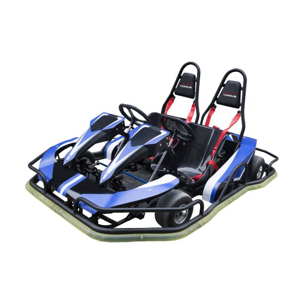 175Kg Fast Track 2 Seater Go Kart For Adults 2010*1550*590 Mm