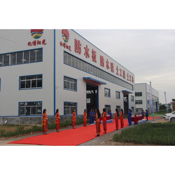 6m Width Black and White Geonet Geotextile Composite Drainage Geonet at for Landfill