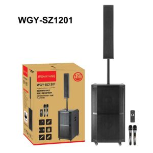 Best 12 inch portable karaoke speaker wholesale