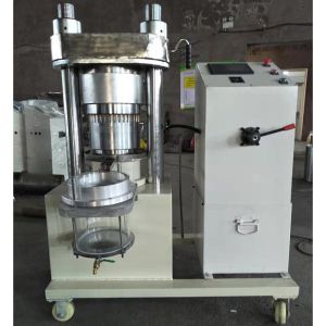 Buy cheap 50hz Hydraulic Seed Oil Press Machine , 1PH 6kg/Batch Cold Press Oil Mill from wholesalers