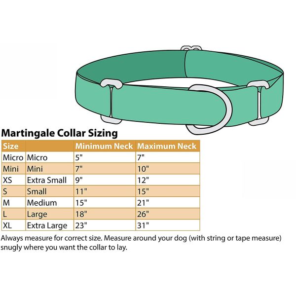 2 Layers Soft Nylon Dog Collar Comfortable Martingale Loop For Dog Walking