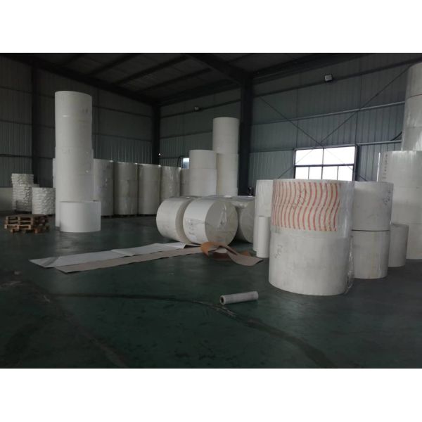 FDA Custom Logo Single PE Coated Stock Paper Cup Raw Material
