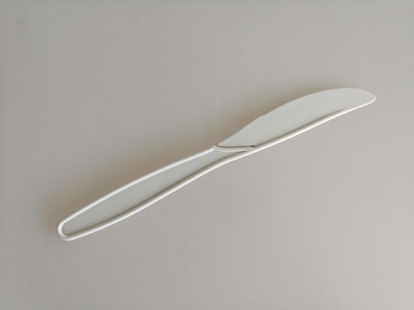 Compostable Biodegradable Pla Ice Cream Spoon , Ice Cream Serving Spoon