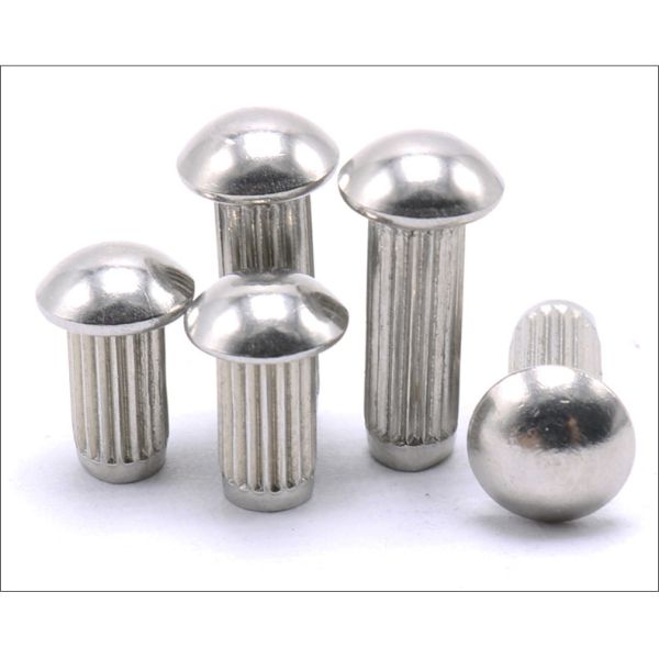 Stainless Steel Round Head Knurling Rivets Pan Head Rivets for Name Plate Round Head Knurled Rivets