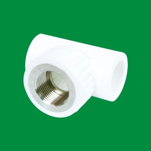 Best Factory Outlet Customization Plumbing Materials Serviceable Plastic Long Elbow Tee Reducer Pipe Fitting wholesale