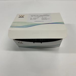 Best Estradiol (E2) Rapid Quantitative Test (Fluorescence Immunoassay) By Wwhs wholesale