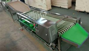 China cherry grading machine,dates sorting machine,waxberry sortor,plum sorting machine on sale