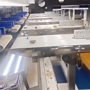 China Precision Intelligent Walnut Kernel Sorter AI-powered Grading Machine Custom Design Capability Dimension/mm 9840*3146*1860 on sale