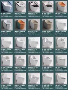Best Modern Sanitary Ware Ceramic Toilet Floor Mounted With Dual Flushing System wholesale