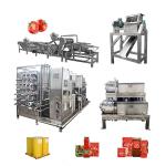 Multifunctional Tomato Processing Line With Turnkey Processing Adjustable