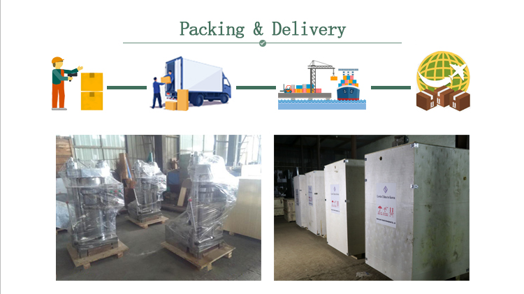 6YY-250 Cold Press Machine Hydraulic Oil Extraction Machine For Avocado