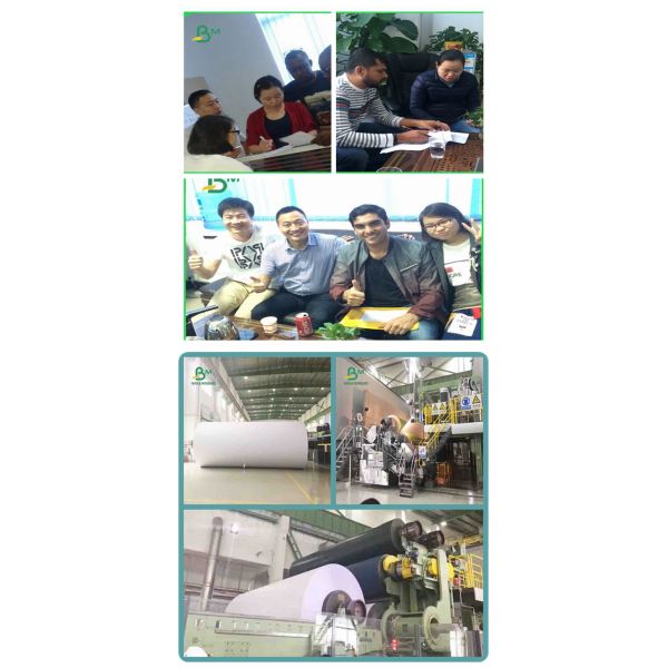 Plain White Paper Straws Biodegradable High Smoothness Plain White Paper Straws 15mm