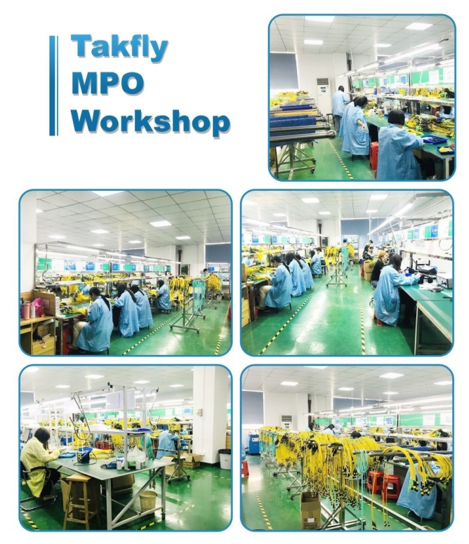 8F 12F 24F MTP MPO Fiber Trunk Cable LSZH For 10G 40G 100G 400G