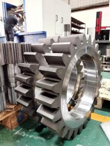 Best Customized Forging Alloy Steel Spur Gear 12 Module 20Cr2Ni4 For Mining Machinery wholesale