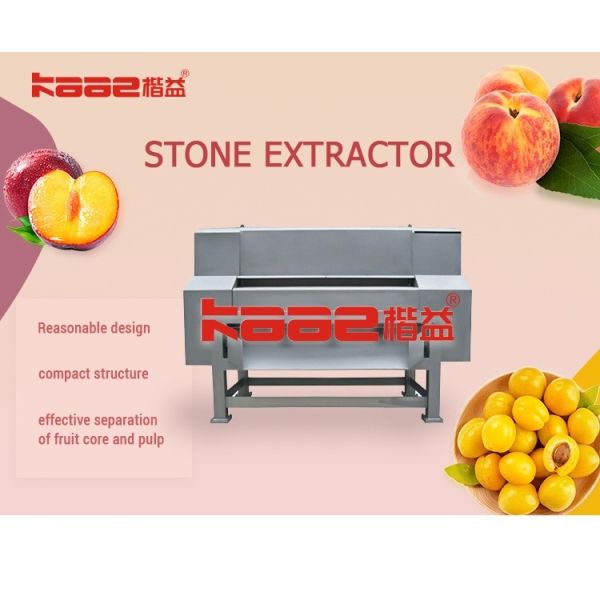 Peach Stone Removing Machine Double Channel Fruit Beating Machine