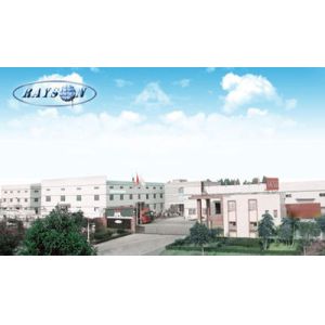 Foshan Rayson Global CO., Ltd